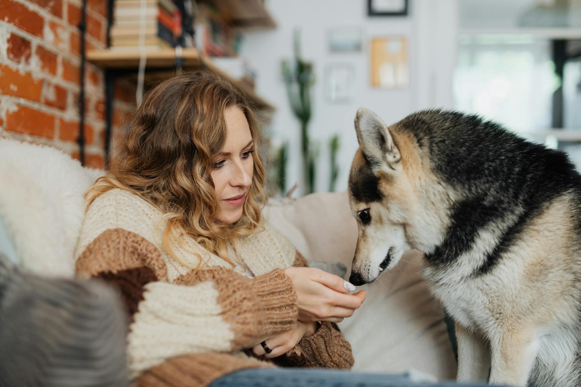 The Ultimate Guide to Hypoallergenic Dog Treats: A Tail-Wagging Solution for Sensitive Pups